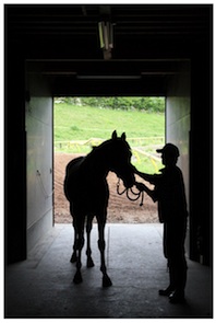 bc3ad18f95 | 專家介紹 | 新的賽馬貼士模式贏馬廣場