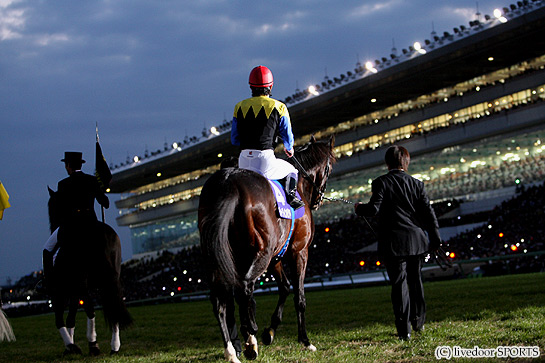 eed8f8a9c0 | 專家介紹 | 新的賽馬貼士模式贏馬廣場