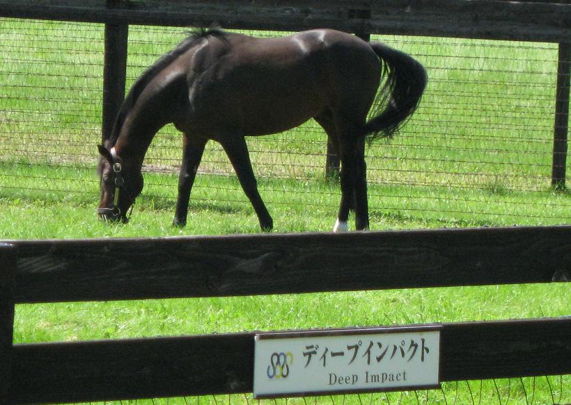 f611e17ccf | 新的賽馬貼士模式贏馬廣場