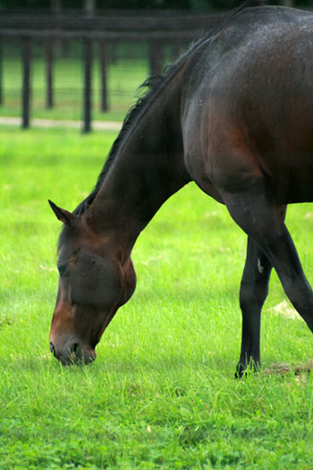 c9bd3beb98 | 新的賽馬貼士模式贏馬廣場