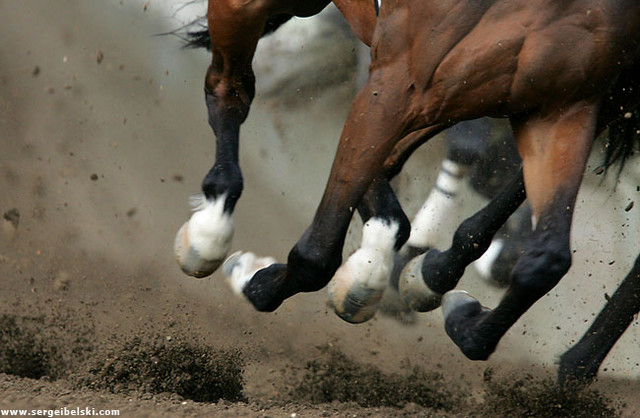 b474773280 | 專家介紹 | 新的賽馬貼士模式贏馬廣場