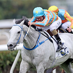 贏馬壯行色 | 新的賽馬貼士模式贏馬廣場