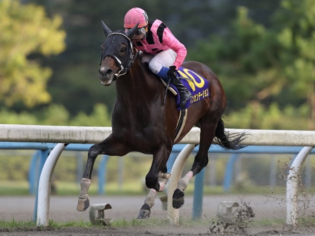 lovelyboy | 新的賽馬貼士模式贏馬廣場