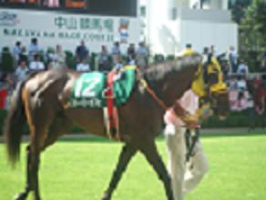 e9ddf15a6d | 專家介紹 | 新的賽馬貼士模式贏馬廣場