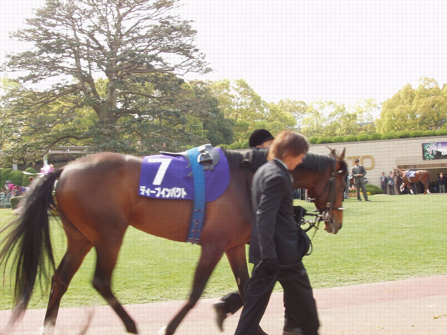 1936e45693 | 新的賽馬貼士模式贏馬廣場