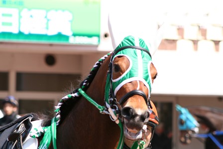 a8e28c26d1 | 新的賽馬貼士模式贏馬廣場