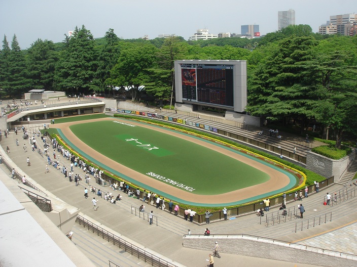 414451a988 | 專家介紹 | 新的賽馬貼士模式贏馬廣場