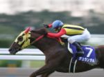 1f9786530c | 專家介紹 | 新的賽馬貼士模式贏馬廣場