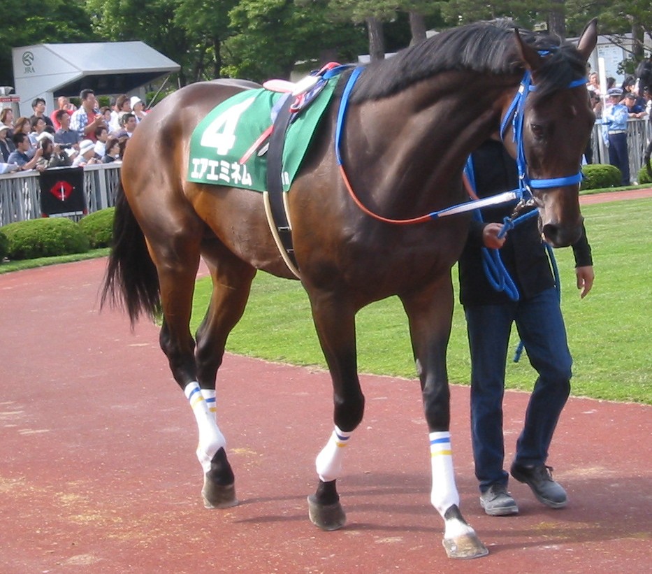 c7d23f70fa | 專家介紹 | 新的賽馬貼士模式贏馬廣場