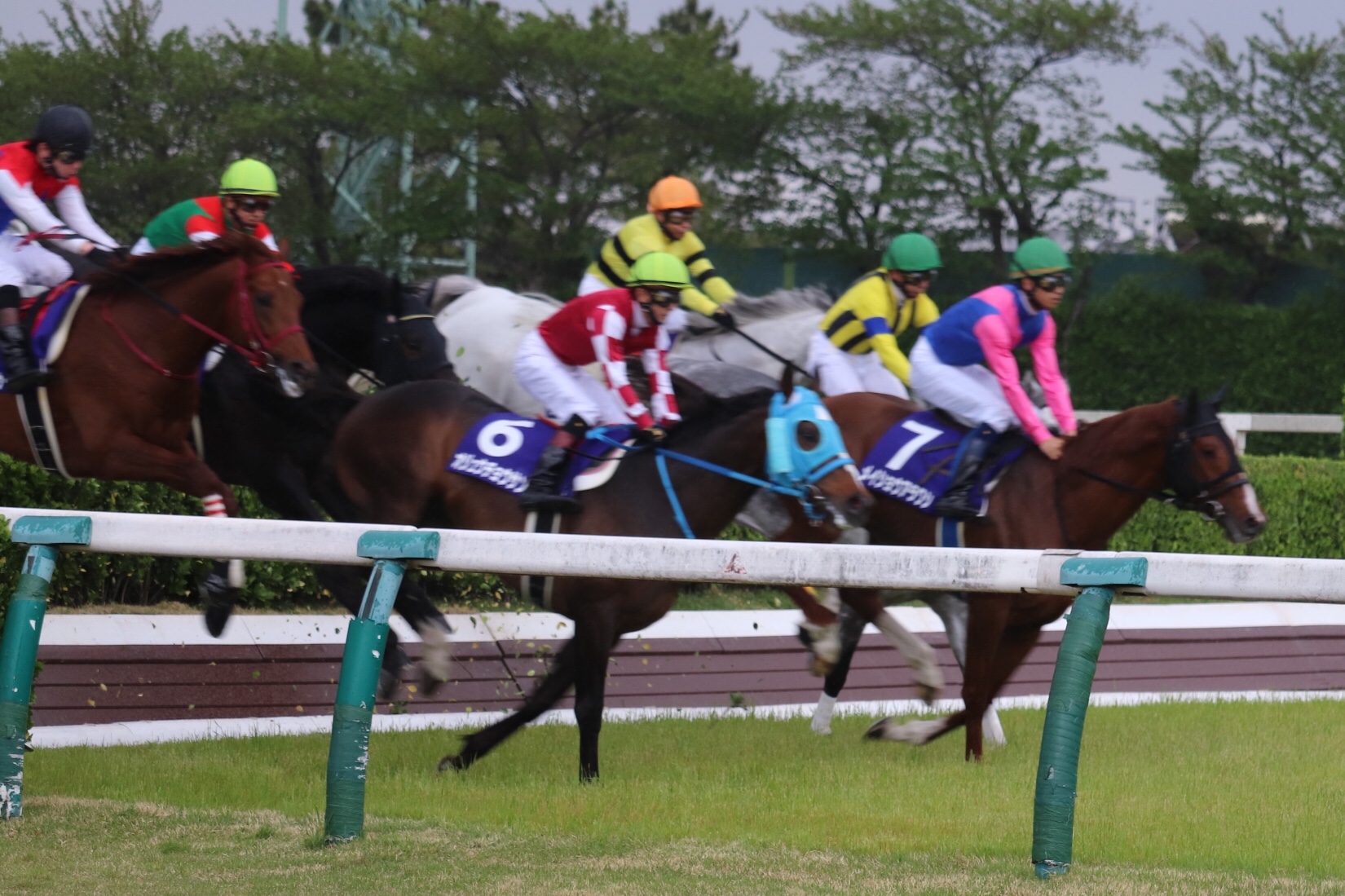 Great Horse | 新的賽馬貼士模式贏馬廣場