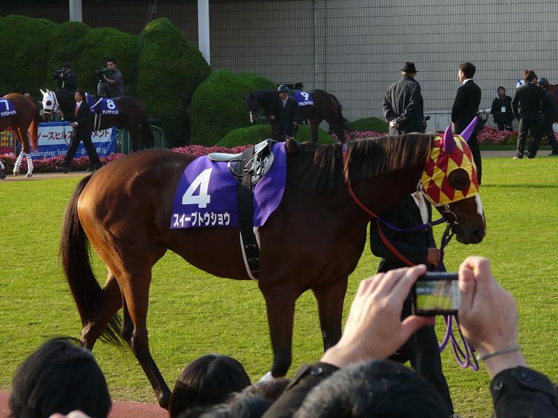 74584f3bab | 新的賽馬貼士模式贏馬廣場