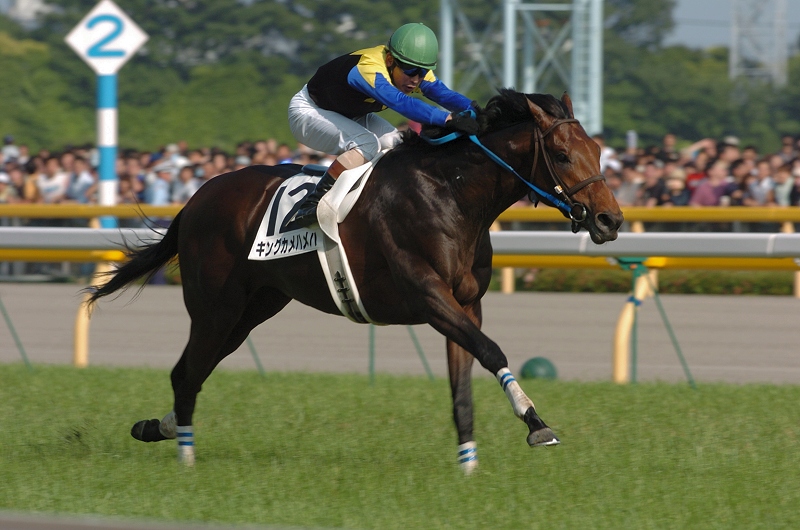 9639e916f6 | 專家介紹 | 新的賽馬貼士模式贏馬廣場