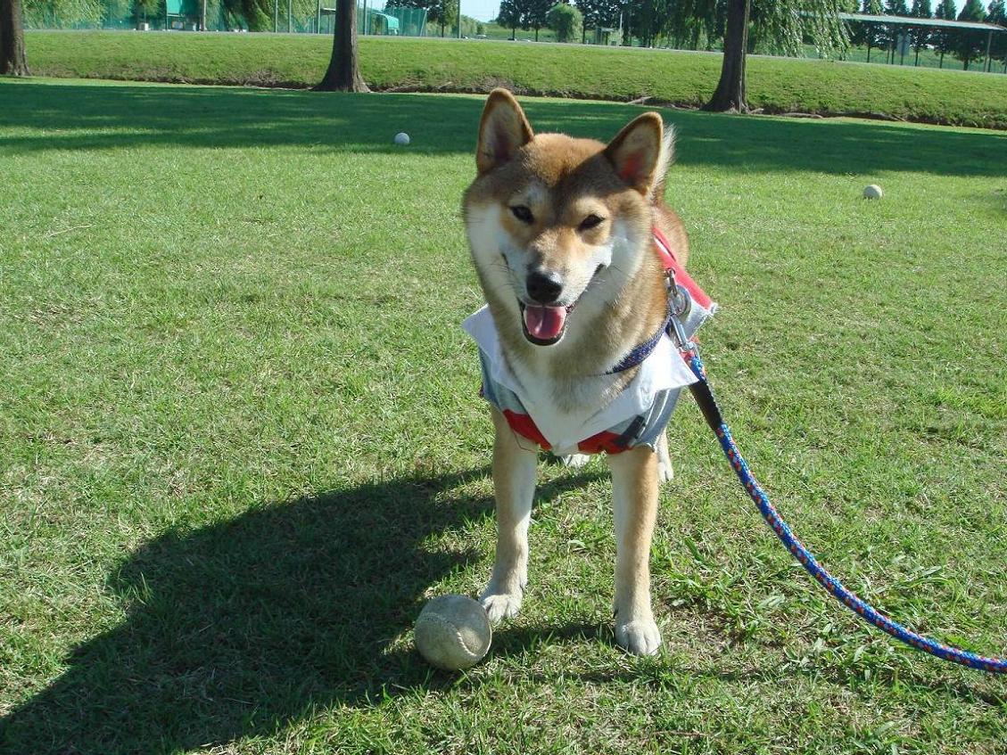 90a212a8fb | 新的賽馬貼士模式贏馬廣場