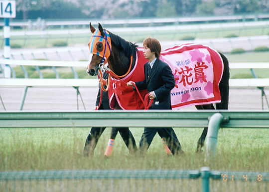 f20612073b | 新的賽馬貼士模式贏馬廣場