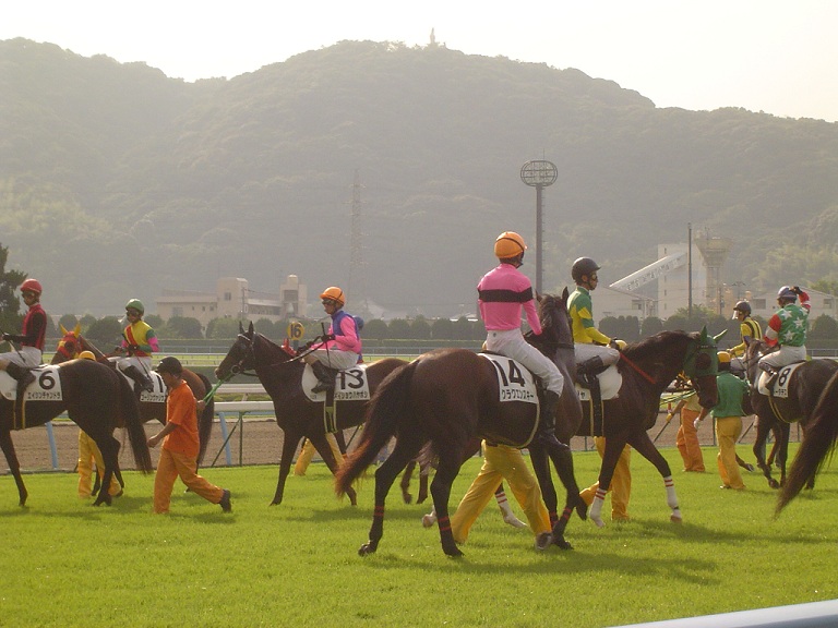 b28037fedc | 專家介紹 | 新的賽馬貼士模式贏馬廣場