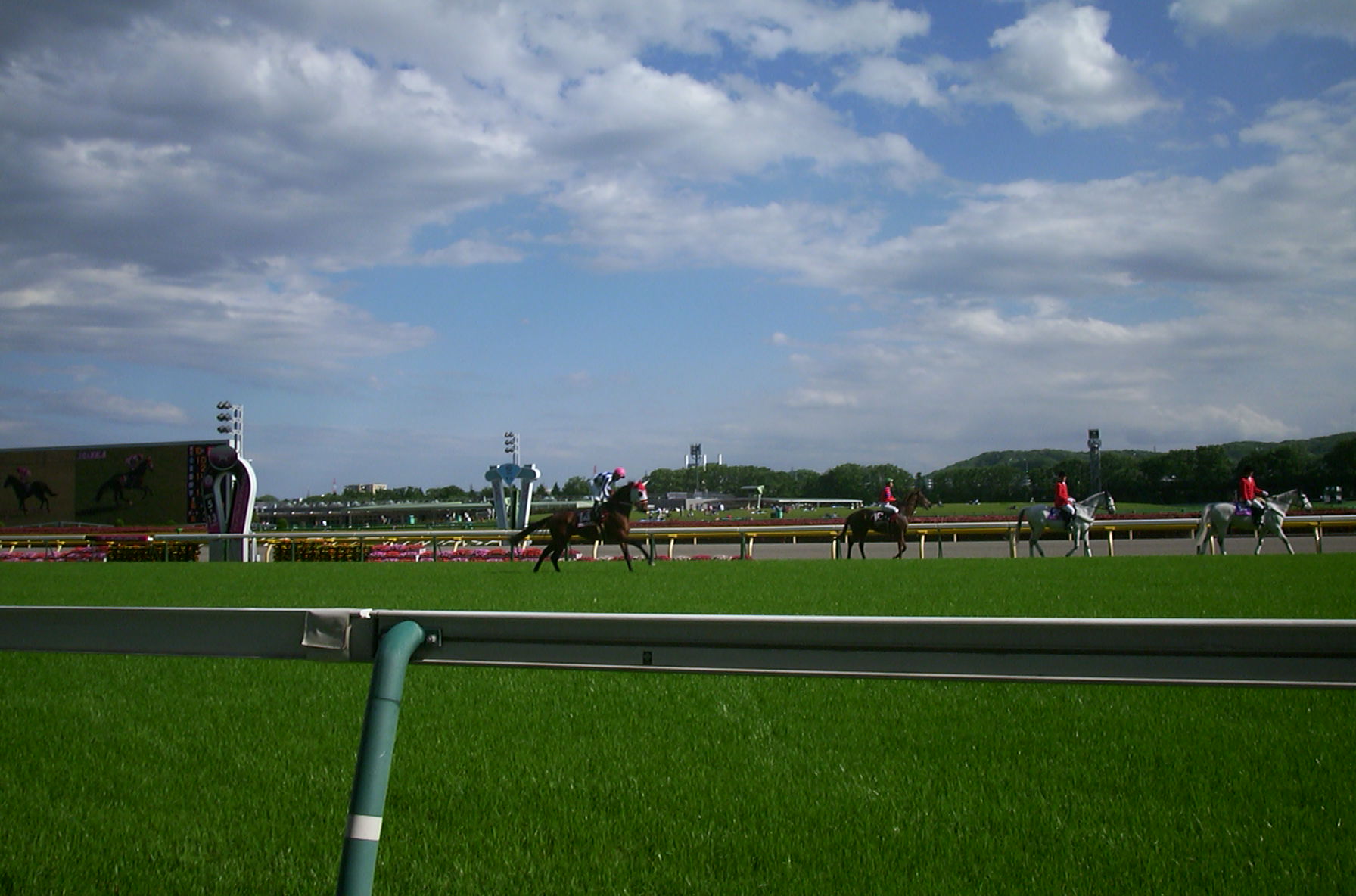 hot-cafe | 新的賽馬貼士模式贏馬廣場