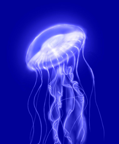 Drunk Jellyfish  | 新的賽馬貼士模式贏馬廣場