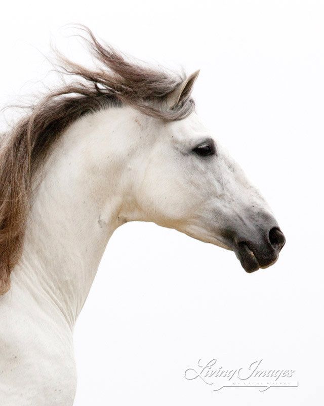 559a984791 | 專家介紹 | 新的賽馬貼士模式贏馬廣場