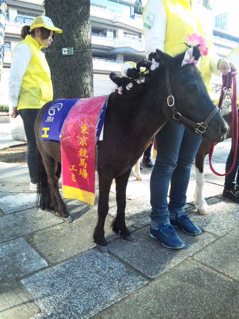 d63ad774c3 | 專家介紹 | 新的賽馬貼士模式贏馬廣場