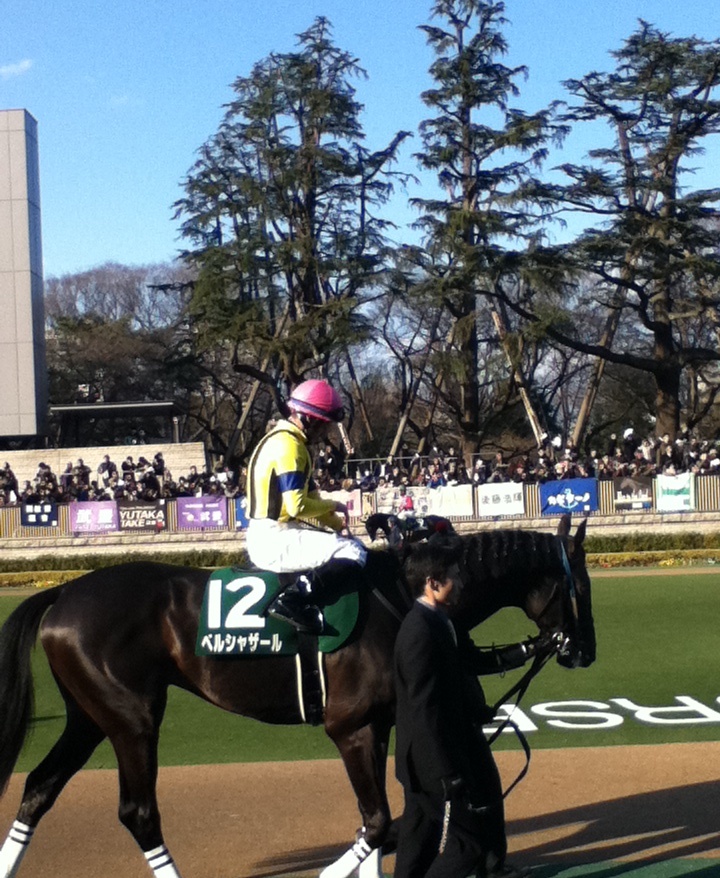 04c0405235 | 專家介紹 | 新的賽馬貼士模式贏馬廣場