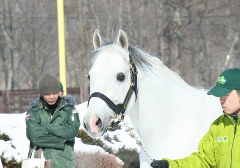 60afda27a4 | 專家介紹 | 新的賽馬貼士模式贏馬廣場