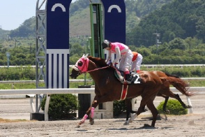 7c72be6410 | 專家介紹 | 新的賽馬貼士模式贏馬廣場