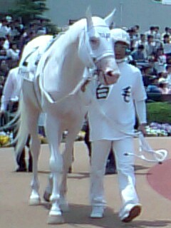 dfa5360250 | 專家介紹 | 新的賽馬貼士模式贏馬廣場