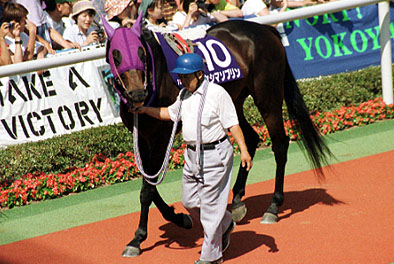 72e295149f | 專家介紹 | 新的賽馬貼士模式贏馬廣場