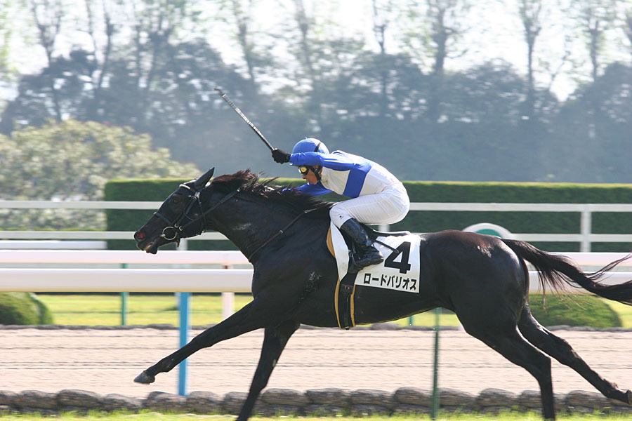 0240e528f3 | 專家介紹 | 新的賽馬貼士模式贏馬廣場