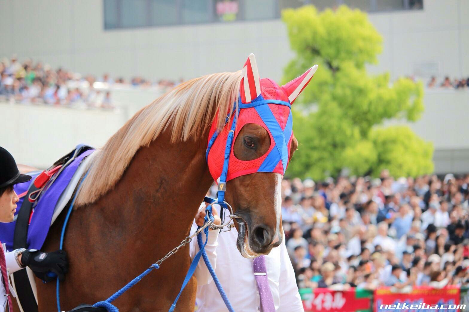 cfd5119e6d | 專家介紹 | 新的賽馬貼士模式贏馬廣場