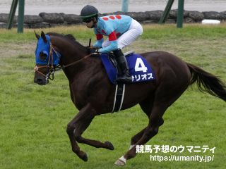 8beb7ae2f9 | 專家介紹 | 新的賽馬貼士模式贏馬廣場