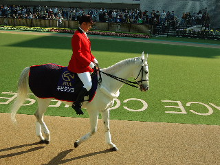 2a8be51187 | 專家介紹 | 新的賽馬貼士模式贏馬廣場