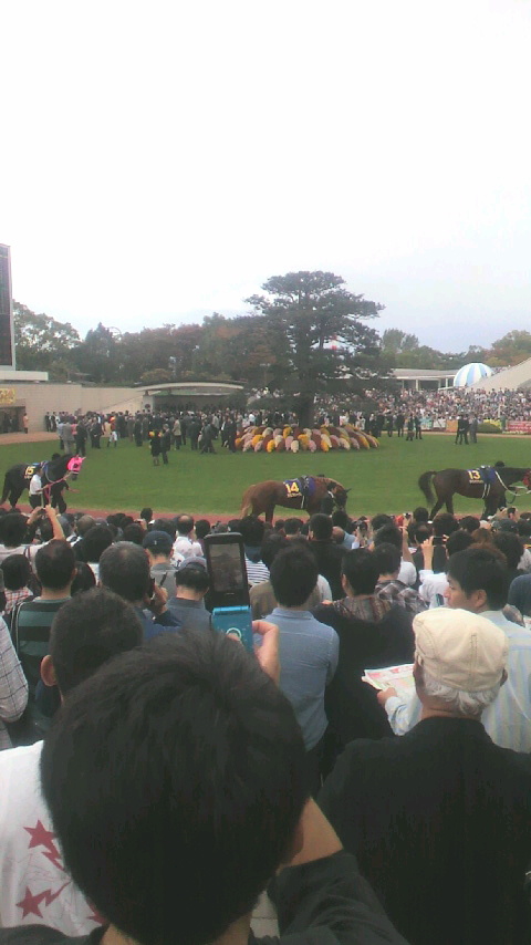 a0142b5bc9 | 專家介紹 | 新的賽馬貼士模式贏馬廣場