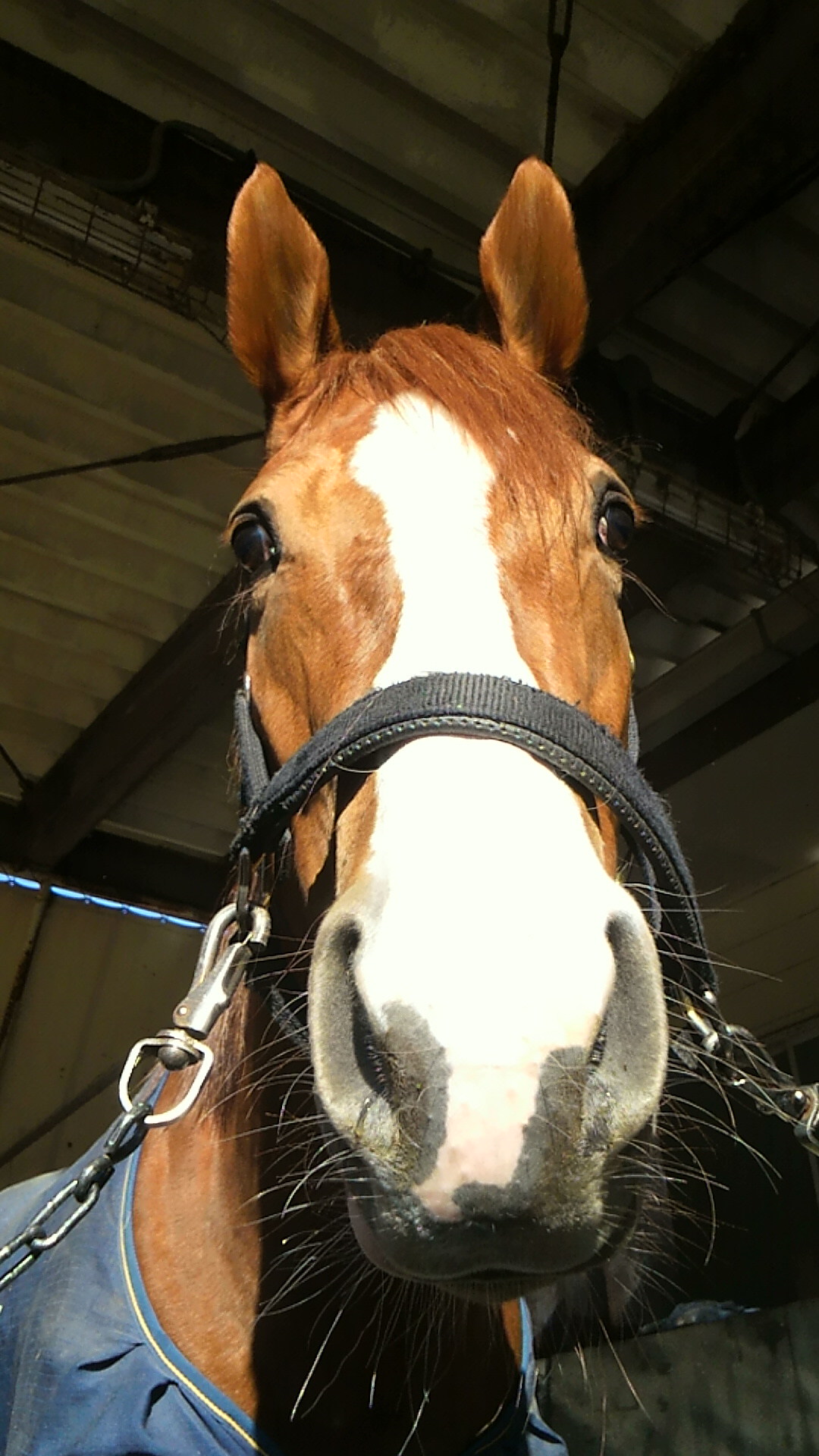 139436043e | 專家介紹 | 新的賽馬貼士模式贏馬廣場