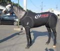 okachan_keiba 嘅賽馬預測 | 新的賽馬貼士模式贏馬廣場