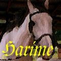 Harime | 新的賽馬貼士模式贏馬廣場