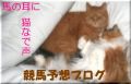 2678601ccd | 新的賽馬貼士模式贏馬廣場